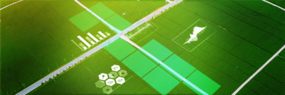 行業(yè)優(yōu)勢(shì)